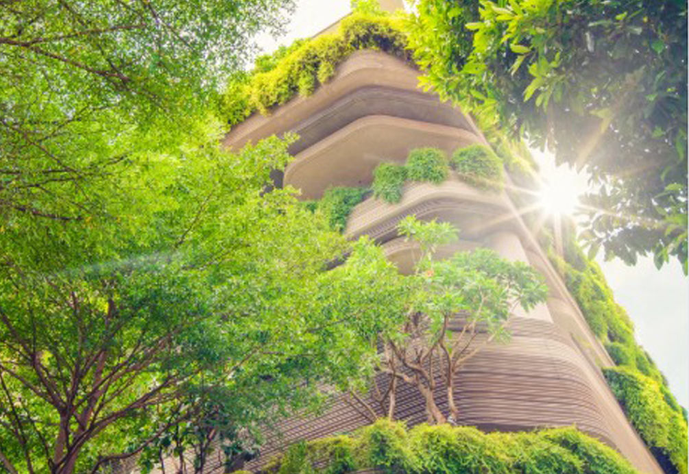 Climate Change Mitigation & Adaptation Plans